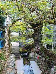 山海安歌