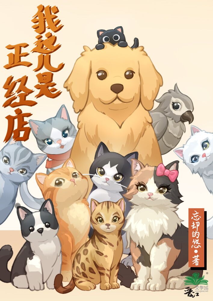 我这儿是正经店