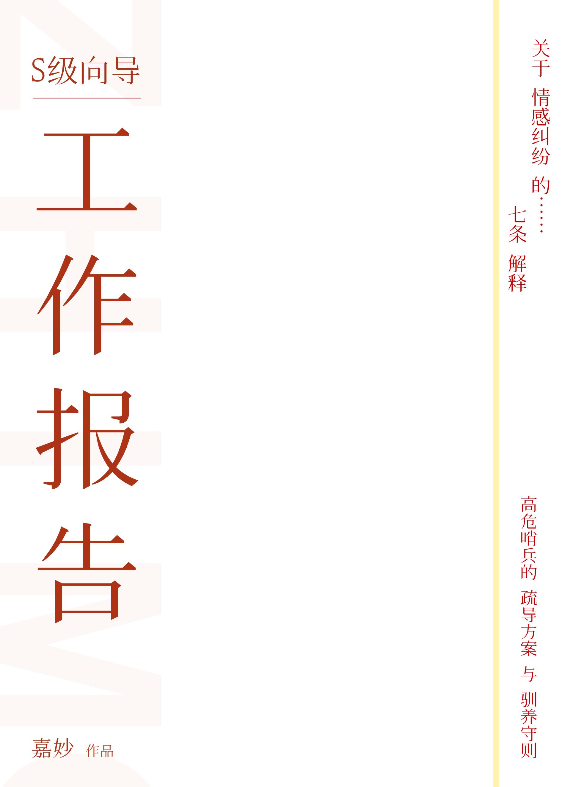 S级向导工作报告